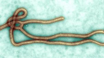 El brote de ébola de Congo no es el mismo que el de África Occidental
