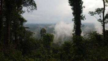 Brasil detiene a "los mayores deforestadores" de la Amazonia