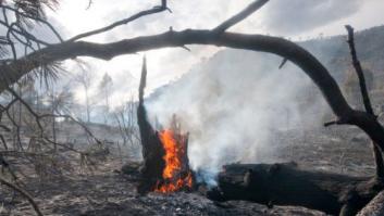 La falta de prevención aviva la llama de los incendios en España
