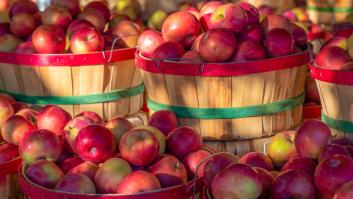 Un ingeniero jubilado ha salvado de la extinción 1.200 variedades de manzanas en EEUU