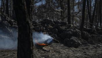 La meteorología favorece las labores de extinción del incendio de Villanueva de Viver
