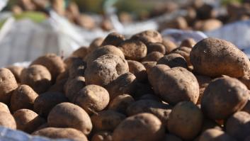 Jesús González es el hombre que 'parte' más patatas en España: 31.000 kilos en casi un mes