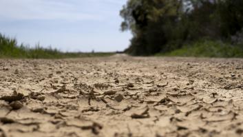 Cataluña ultima la declaración de emergencia por sequía para el 1 de febrero: qué podría suponer