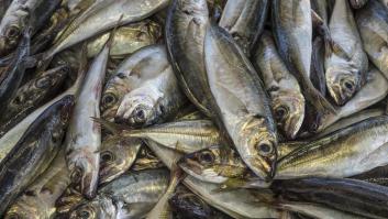 El Ministerio de Consumo lanza una advertencia por el parásito más común en pescados