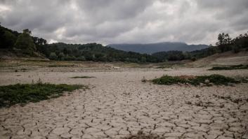 El 89% de los españoles se muestran preocupados por la sequía, según el CIS