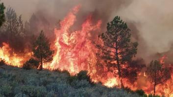 Horas claves en Las Hurdes: el fuego deja ya 700 evacuados y 8.500 hectáreas, pero mejoran 