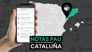 Notas PAU Cataluña 2023: resultado de los exámenes