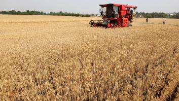 China no responde al 'pacto del cereal' ruso