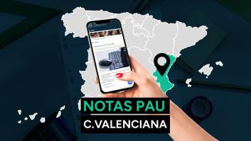 Notas PAU Comunidad Valenciana 2023: resultado de los exámenes de la selectividad