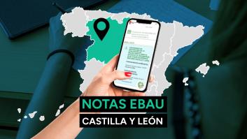 Notas EBAU Castilla y León 2023: resultado de los exámenes