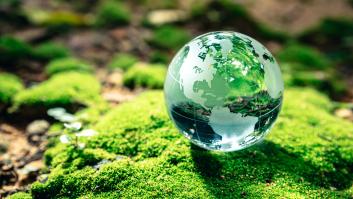Día mundial del medio ambiente 2023: ¿por qué se celebra el 5 de junio?