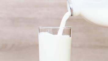 Cuál es la leche más sana