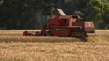 Polonia esquiva la trampa del cereal ucraniano