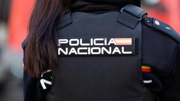 La policía de Cádiz busca cocaína en excrementos de vacas