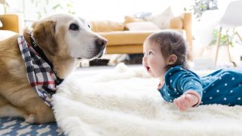 El error más común a la hora de presentar un bebé a un perro