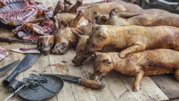Corea del Sur dice basta a la carne de perro