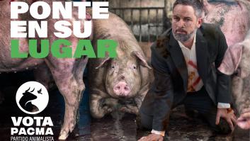 La polémica campaña de Pacma que usa a Sánchez, Abascal y Ayuso para denunciar el maltrato animal