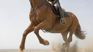El vídeo de un concurso de 'equitación' en Finlandia llega a TikTok y las reproducciones no cesan