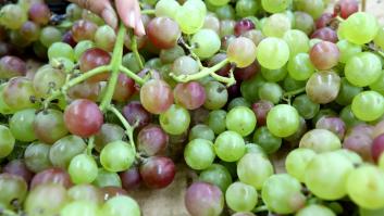 Misterioso desplome de la uva española