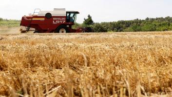 El fin del acuerdo del grano en Ucrania rompe los planes en León