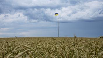 Ucrania se atasca en sus campos de cultivo
