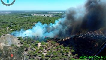 Desalojan varias casas de Bonares (Huelva) por un incendio forestal declarado de Nivel 1