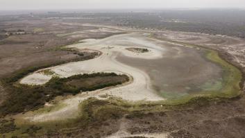 Nueva señal de alarma en Doñana: la mayor laguna del parque se seca otro verano más
