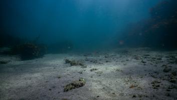 Descubren el océano más grande del planeta escondido bajo tierra