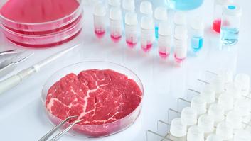 La carne de laboratorio entra a Europa