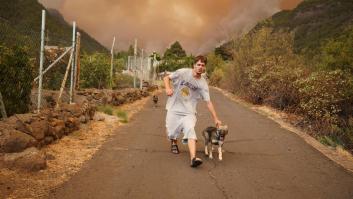 El incendio de Tenerife avanza sin control: desalojado un nuevo barrio en El Rosario