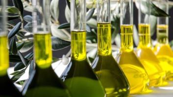 Este aceite planta cara al de oliva por su calidad