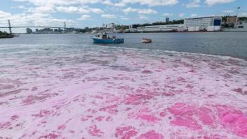 El extraño experimento de teñir el mar de rosa para salvar el planeta
