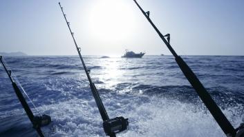 Pescan un monstruo de 237 kilos en Cádiz