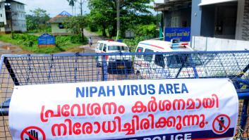 Así es el virus Nipah que ha encendido todas las alarmas en India: tiene una tasa de mortalidad de hasta el 75%