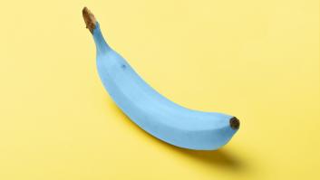 España sorprende al mundo con el plátano azul y con sabor a vainilla