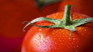 Precaución con los puntos negros que se encuentran en los tomates