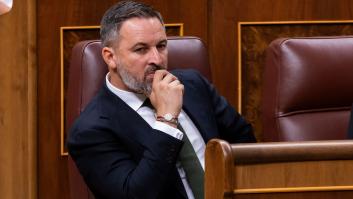 Abascal lanza una amenaza velada si hay amnistía: "El pueblo español tiene el deber y el derecho de defenderse"