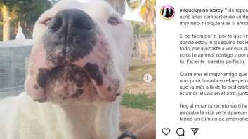 Emotiva carta de un veterinario a un perro que pasó media vida ingresado