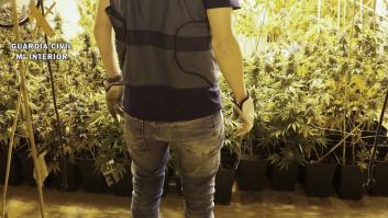 La irrisoria condena para los propietarios del puntero laboratorio de marihuana en Burgos