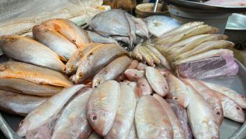 España es el principal consumidor de este pescado no recomendado