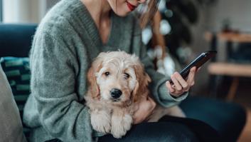 La app de moda con la nueva Ley de Bienestar Animal para controlar a la mascota
