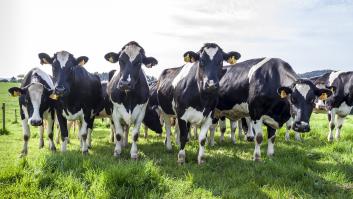Galicia declara la guerra a los precios de la leche