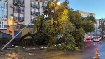 Más de 800 incidencias en las provincias de Cádiz, Huelva y Sevilla por las fuertes rachas de viento