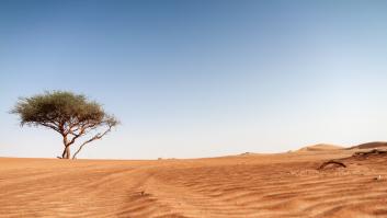 Dubái pide ayuda a España para cultivar en el desierto