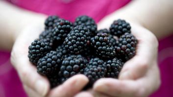 Tres frutas que pueden usarse como 'snack' que son una bomba de antioxidantes para las células