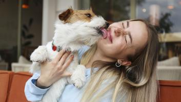 Los cuatro comportamientos que nunca debes realizar delante de tu perro