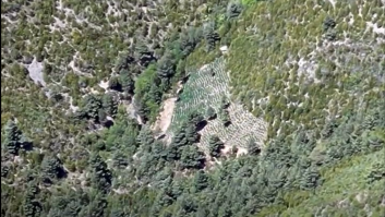 Golpe a la 'marihuana de los Pirineos': desarticuladas dos bandas y destruidas 27.000 plantas
