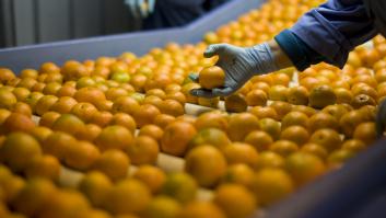 Tres países africanos amenazan con inundar los supermercados españoles de naranjas