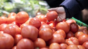 España se queda sin tomate de Marruecos