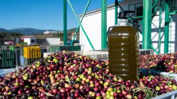 Francia se une a Iberdrola para un nuevo aceite de oliva